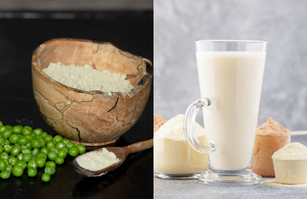 Whey Protein vs Plant Protein - What's the Difference?