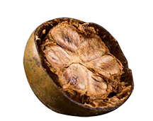 A dried fruit split open revealing seeds inside.